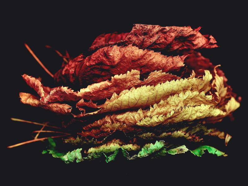 意大利五渔村<br>kclfxfu.cn 悬崖彩色房子